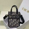 Dior Safari North-South Mini