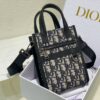 Dior Safari North-South Mini
