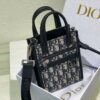 Dior Safari North-South Mini
