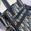 Dior Safari North-South Mini
