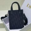 Dior Safari North-South Mini