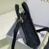 Dior Safari North-South Mini