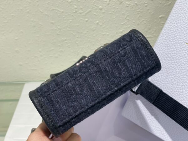 Dior Safari North-South Mini