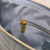 LARGE DIOR CARO DAILY POUCH