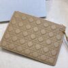LARGE DIOR CARO DAILY POUCH