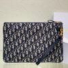 Dior Caro Daily