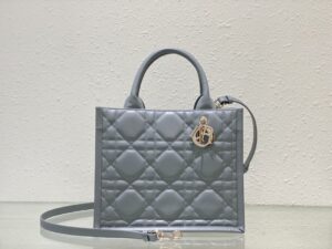 SMALL DIOR BOOK TOTE