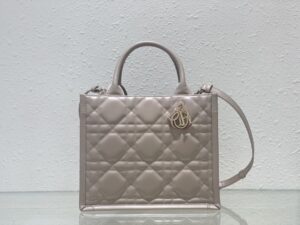 SMALL DIOR BOOK TOTE