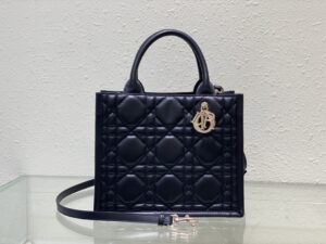 SMALL DIOR BOOK TOTE