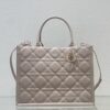 Medium DIOR BOOK TOTE