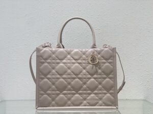 Medium DIOR BOOK TOTE