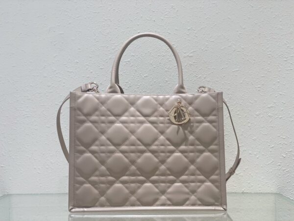 Medium DIOR BOOK TOTE