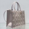 Medium DIOR BOOK TOTE