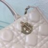 Medium DIOR BOOK TOTE