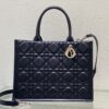 Medium DIOR BOOK TOTE