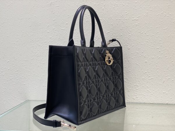 Medium DIOR BOOK TOTE