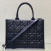 Medium DIOR BOOK TOTE