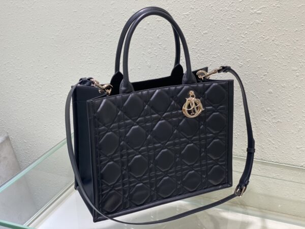 Medium DIOR BOOK TOTE