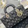 Dior Lady D-Joy Bag Medium