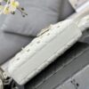 Dior Lady D-Joy Bag Medium