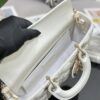 Dior Lady D-Joy Bag Medium