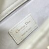 Dior Lady D-Joy Bag Medium