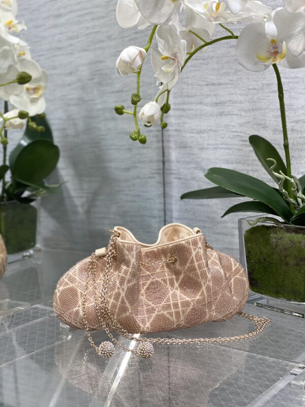 Dior Dream Bag