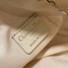 Dior Dream Bag
