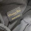Dior Dream Bag