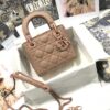 Mini Lady Dior
