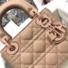 Mini Lady Dior