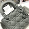 Mini Lady Dior
