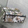 Dior Medium Lady D-Lite bag