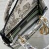 Dior Medium Lady D-Lite bag