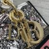 Dior Medium Lady D-Lite bag