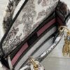 Dior Medium Lady D-Lite bag