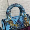 Dior Medium Lady D-Lite bag