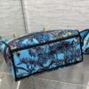 Dior Medium Lady D-Lite bag