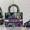 Dior Medium Lady D-Lite bag