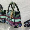 Dior Medium Lady D-Lite bag