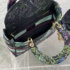 Dior Medium Lady D-Lite bag