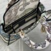 Dior Medium Lady D-Lite bag