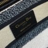 Dior Medium Lady D-Lite bag