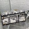 Dior Medium Lady D-Lite bag