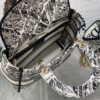 Dior Medium Lady D-Lite bag