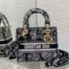 Dior Medium Lady D-Lite bag