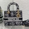 Dior Medium Lady D-Lite bag