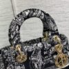 Dior Medium Lady D-Lite bag
