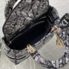 Dior Medium Lady D-Lite bag