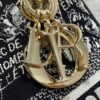 Dior Medium Lady D-Lite bag